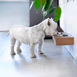 Håndlavet Designer Væghængt Foderbar Til Katte og Små Hunde i Egetræ