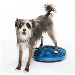 FitPaws K9 Balance  Disc Træning Til Hund Ø46 cm Blue