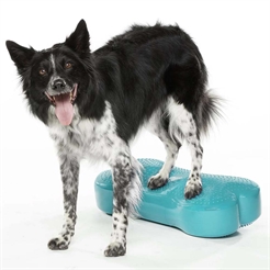 FitPaws K9 Fitbone Balance Træning Til Hund Aqua