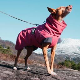 Hurtta Expedition Parka Varm Hundejakke Design Beetroot