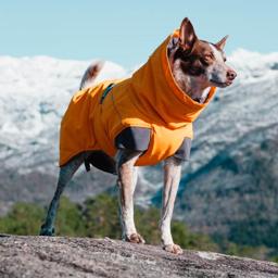 Hurtta Expedition Parka Varm Hundejakke Design Buckthorn