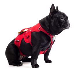 Ruffwear Web Master Flugtsikker Hundesele Red Sumac