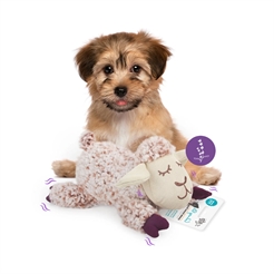 All For Paws Calming Pals Lavendel Duft Mød Fåret Anton