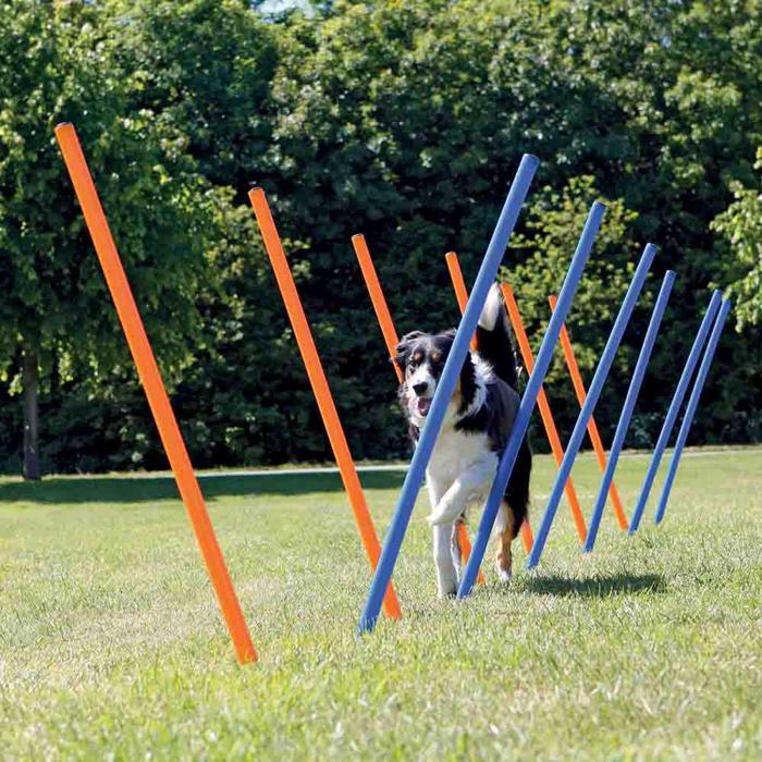 Trixie Agility Slalom Pinde i Plast 12 Stk