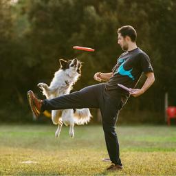 all for paws outdoor anti-bite frisbee til hundeleg