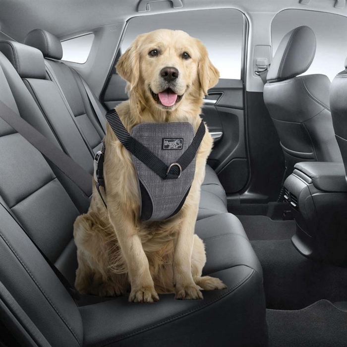 All For Paws 2i1 Køre og Tursele Til Hunden LARGE