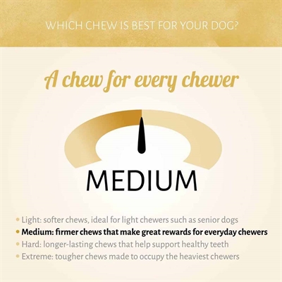 Instinktive hundegodbidder