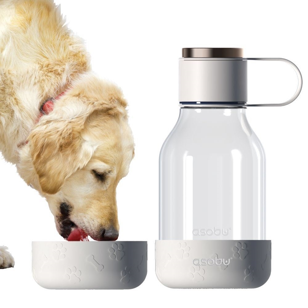 Asobu Vandflaske Til Hunden med Skål i