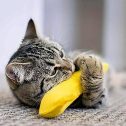 BAM Catnip Banana Festligt Kattelegetøj Med Katteurt