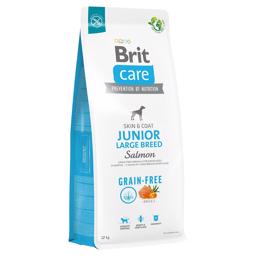 BRIT Care Hundefoder Grain Free JUNIOR Large Breed med Laks 12kg