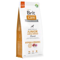 BRIT Care Hundefoder Hypoallergenic JUNIOR Large Breed med Lam