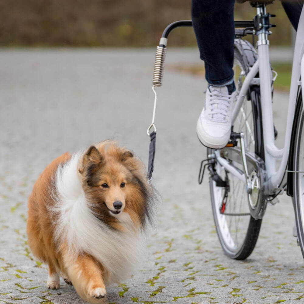 Landskab muskel salat Biker-Sæt De Luxe Afstandshold til Cykelturen Med Din Hund S/M
