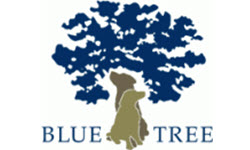 Blue Tree