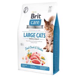 Brit Care Kattefoder til Store Voksne Katte Large Cats Power & Vitality