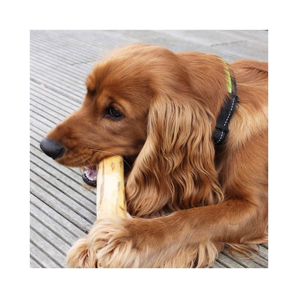 Canophera Bæredygtig Tyggepind Til Din Hund SMALL