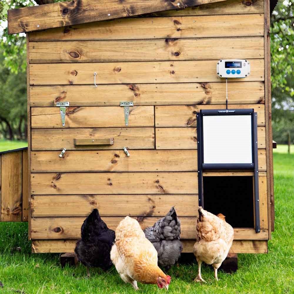 Chickenguard PRO Automatisk Åbne/Lukke Automatik & Selvlåsende Hønselem