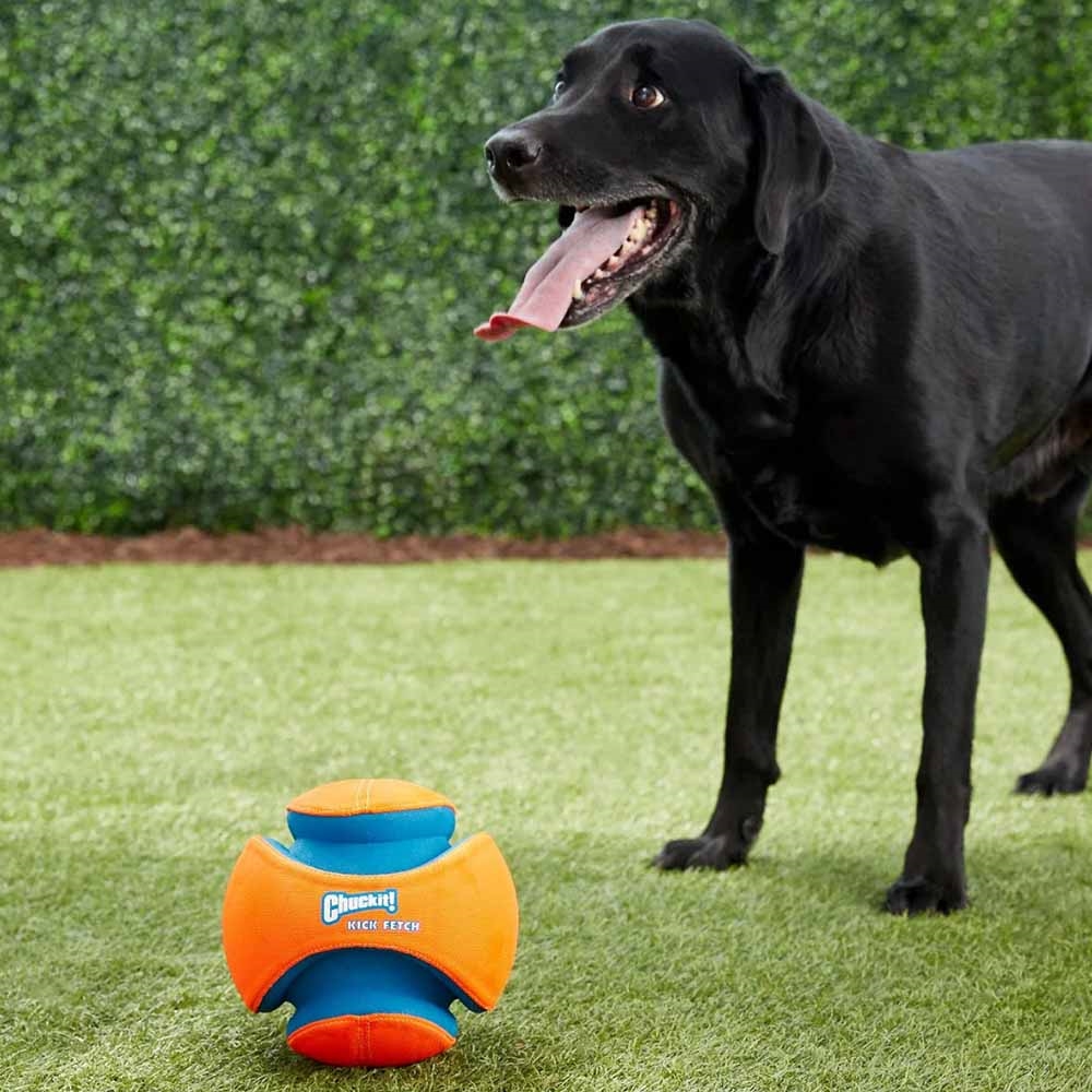 Chuckit!