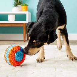 Chuckit Indoor ROLLER Hunde legetøj indendørs