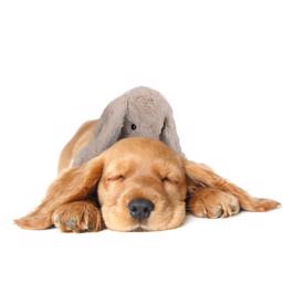 Cozy Fluffy Bunny Heartwarming Den Hjertevarme Kanin Brown