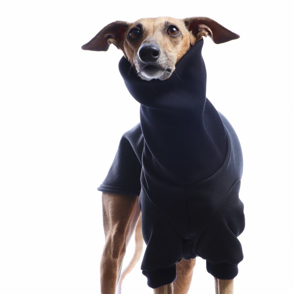 Anger død Oversigt DogGear Outdoor Winter Sweatshirt Hunde Tøj til Mynder Sort