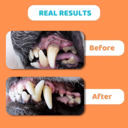 Dogslife effektiv hunde tandspasta