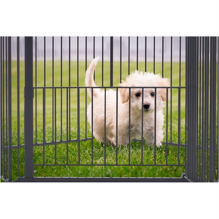 DogSpace King Mommy + Supreme Puppy Stay Kravlegård & Gitter Til Hund