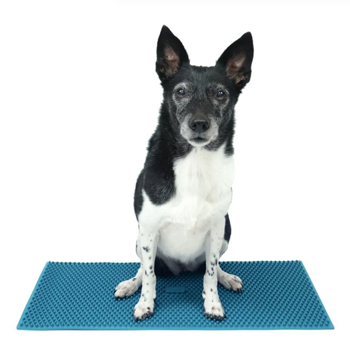 FitPaws K9 Fitmat Trænings Måtte 60 x 30 Cm