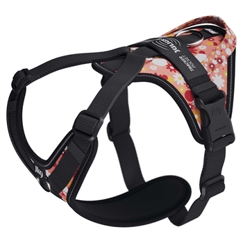 Julius K9 Longwalk Light Hundesele Design Pink Flower