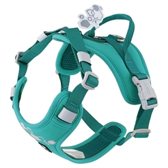 Hurtta Weekend Warrior 2.0 ECO Hundesele Peacock Mint