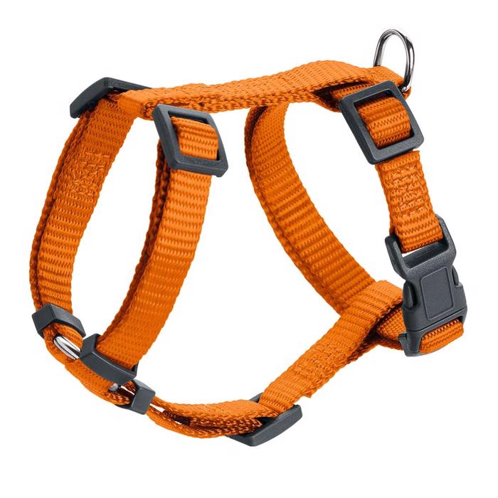 Hunter London Hundesele Orange