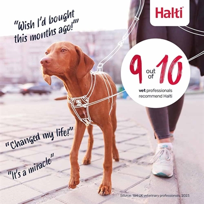 Hundesele anti træk