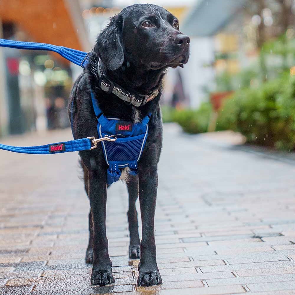 Antitræk hundesele