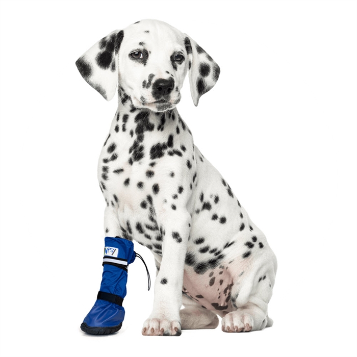 Medical Pets Boot Hundesko Beskyttelse Ved Sygdom & Udfordringer