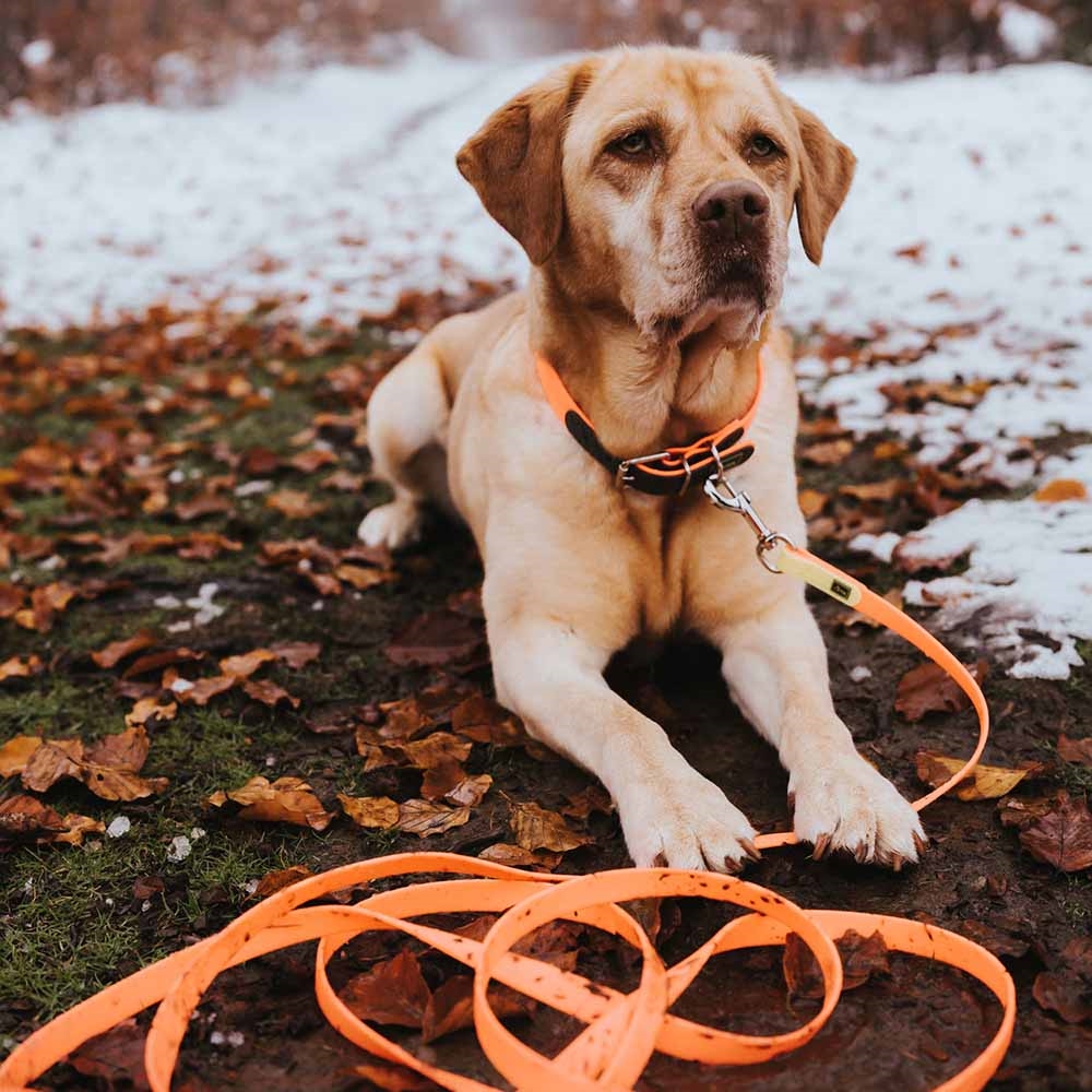 Hunter Convenience Gummi Spor Line Til Hund 5 Meter x 1,5cm Mørkegrøn