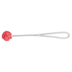 Jolly Paw Aqua Toy Bold med Reb