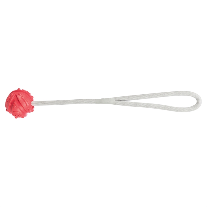 Jolly Paw Aqua Toy Bold med Reb