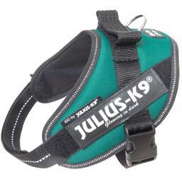 Julius K9 Hunde IDC Selen Dark Green