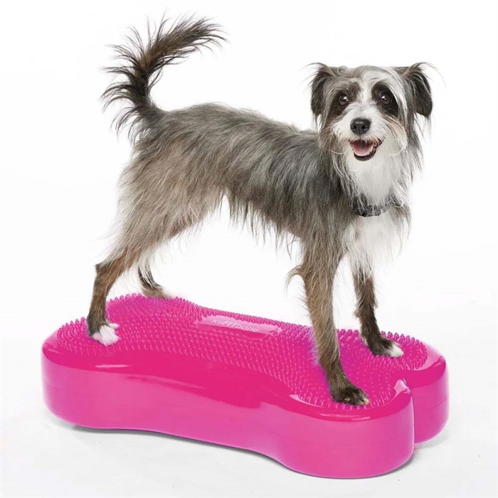 FitPaws K9 Fitbone Balance Træning Til Hund Razzleberry