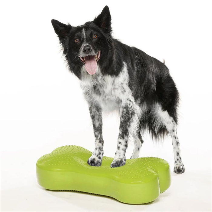 FitPaws K9 Fitbone Balance Træning Til Hund Green