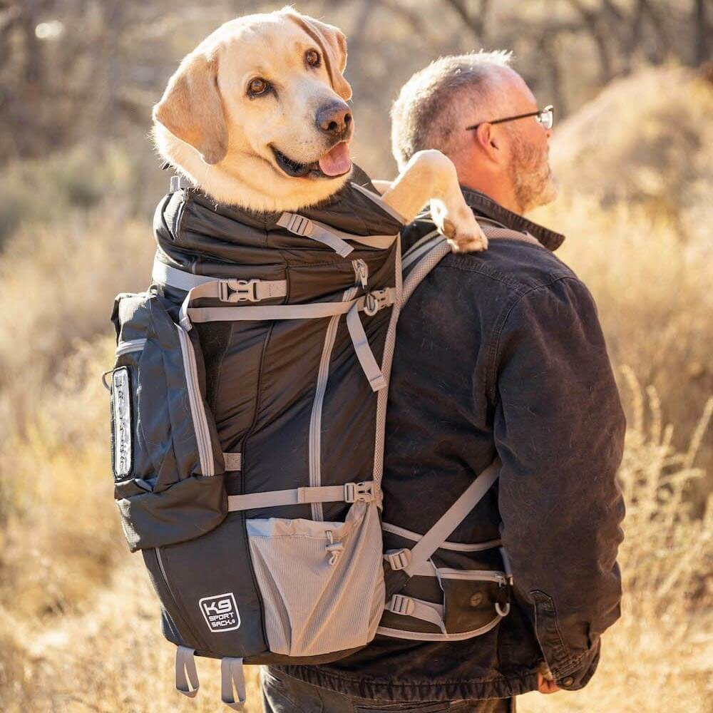 K9 Sport Sack Rygsæk Store Black