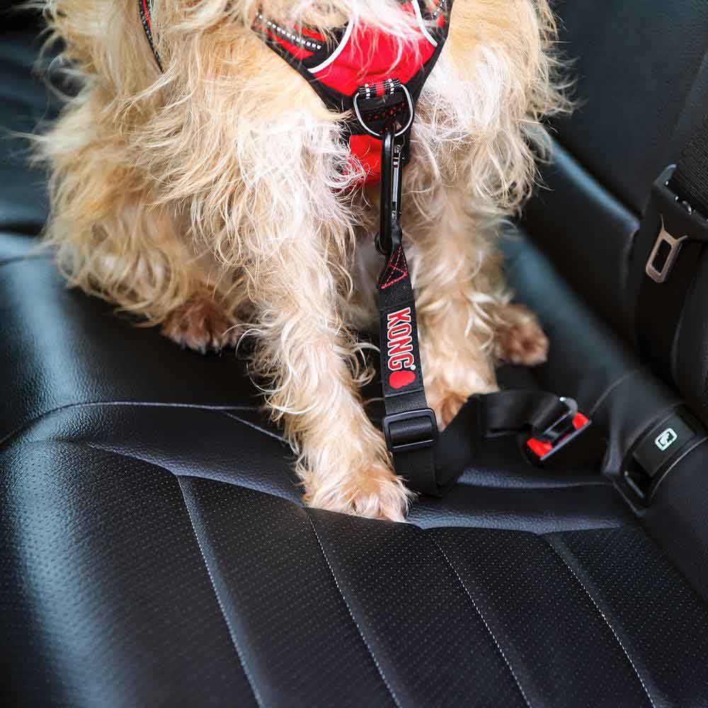 KONG Travel Seat Belt Sikkerhedssele Hund i Bilen