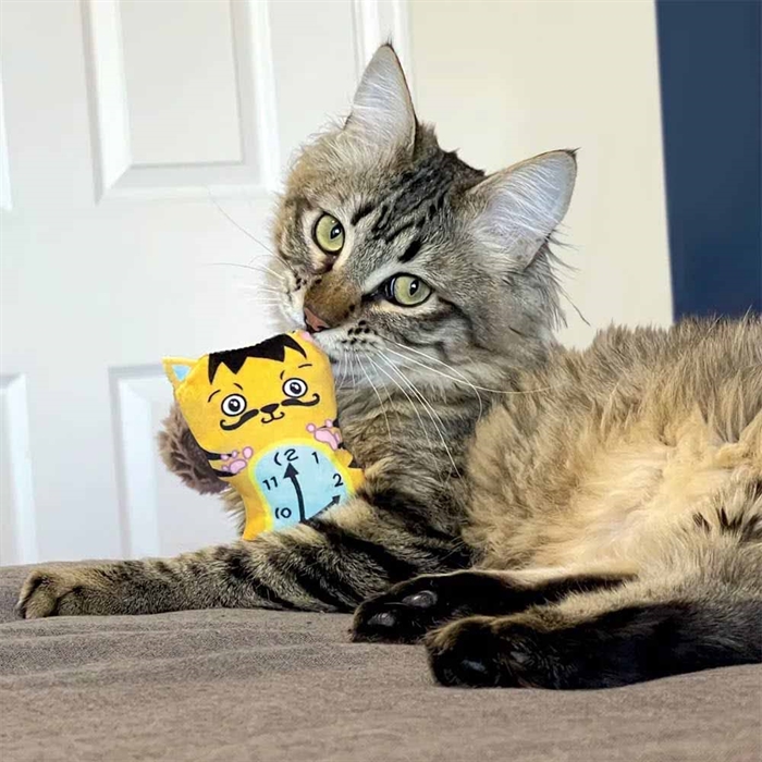 KONG Artz Kattelegetøj med Katteurt 2 Søde Van Gogh Katte 