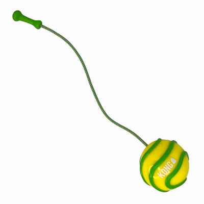 Holdbar bold til hund