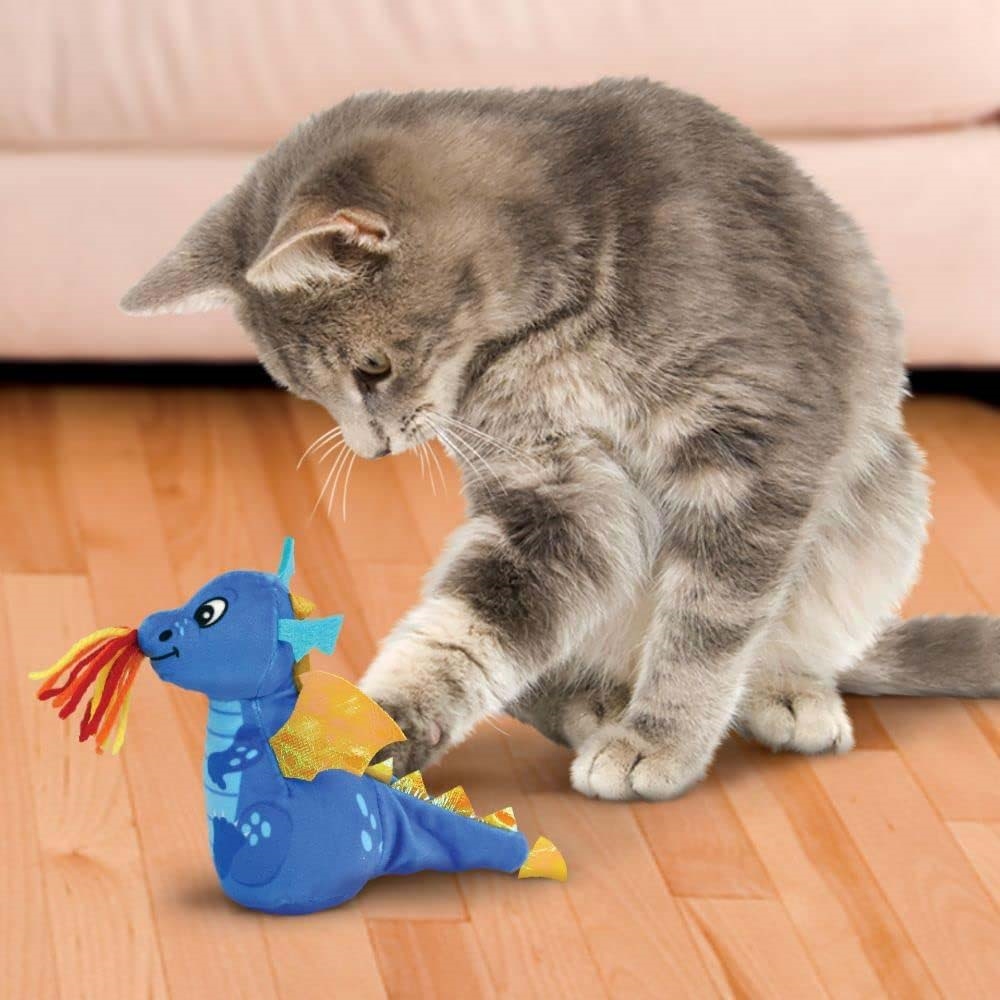 KONG Enchanted Dragon Bamse Til Katten