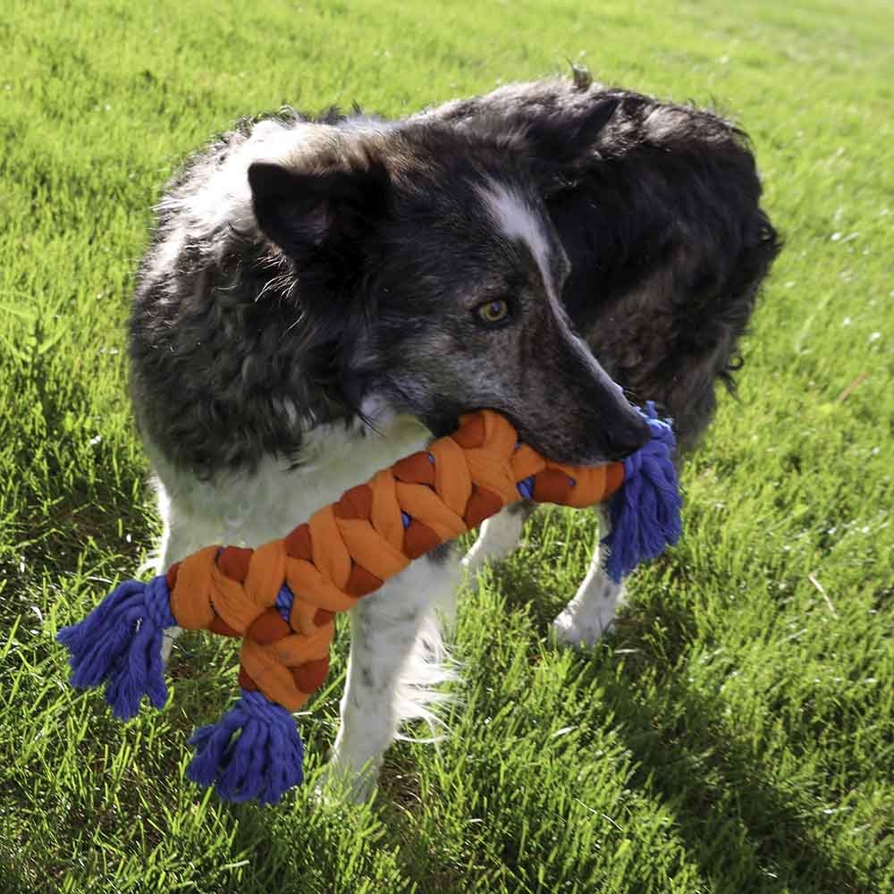 Kong hundelegetøj