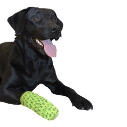 Kruuse Fun Flex Pet Bandage Høj Kvalitet Fleksibel 7,5 cm Bred