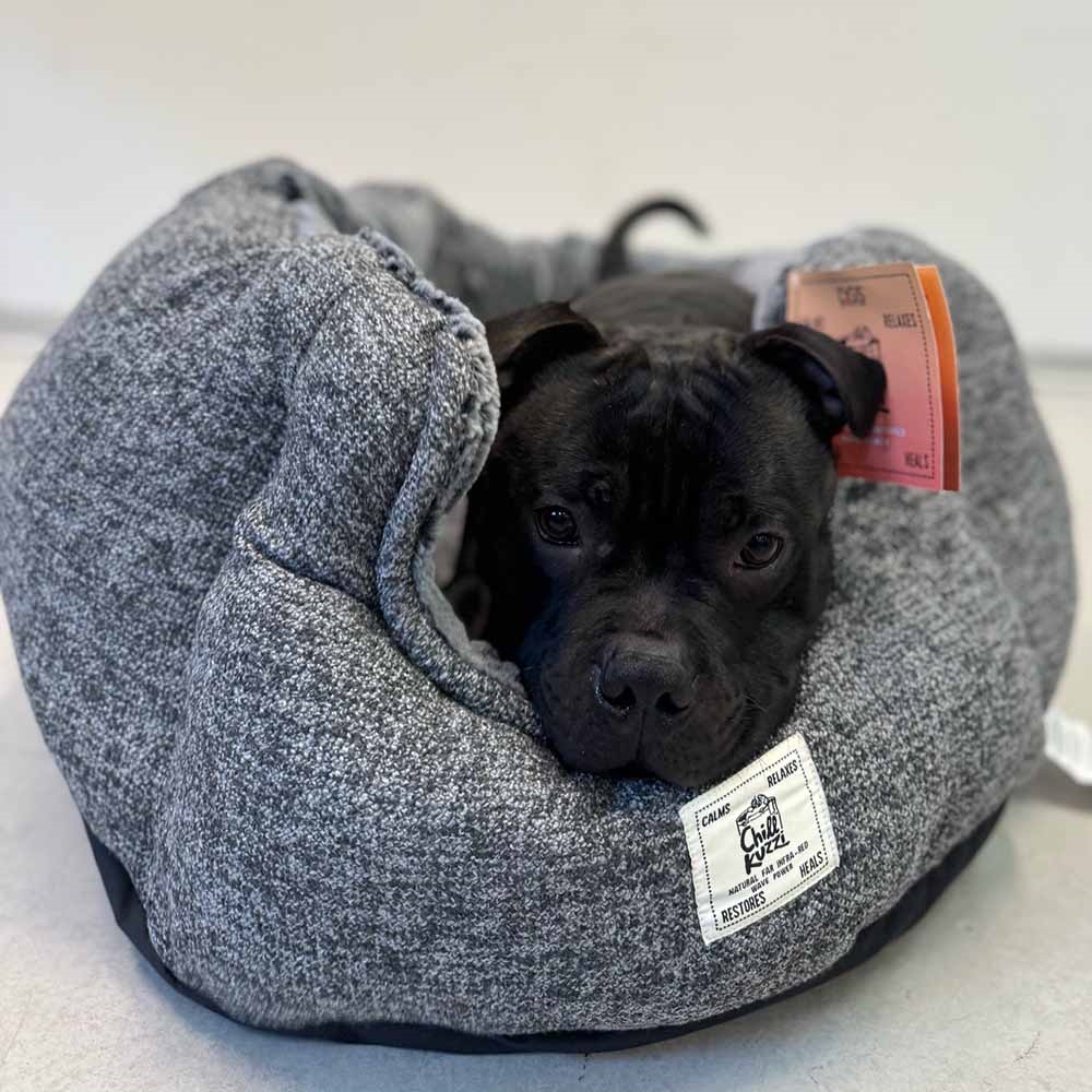 DGS Chill Kuzzi Rund Hundeseng med Beroligende Effekt i Grå