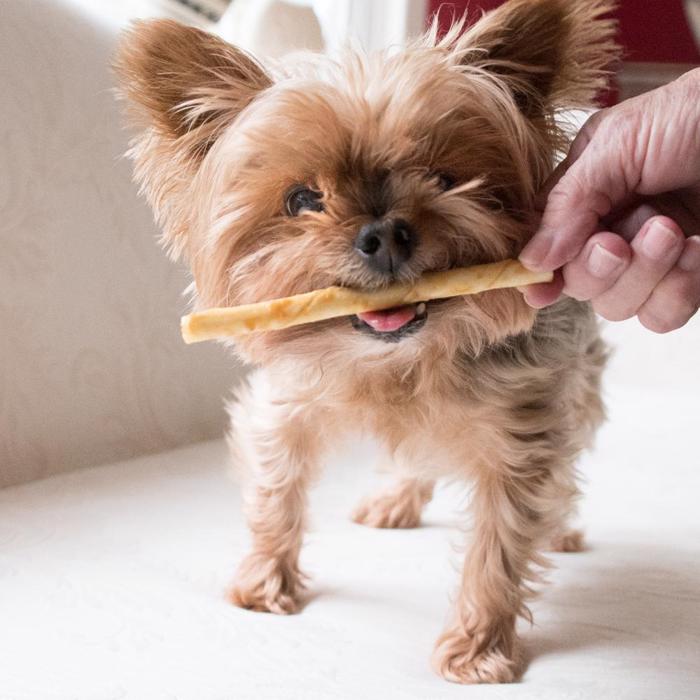 Earth Animal No-Hide Stix Dog American Beef 1 stk