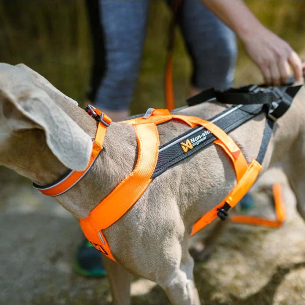 Non-Stop Dogwear Freemotion 5.0 Canicross Bikejorin Produktbild-Vorschau 4