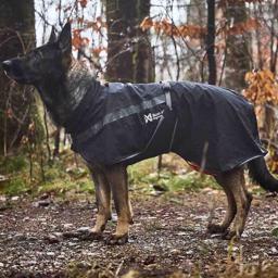 Regnjakke til hunden
